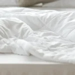 1289618874 sq3r 1000x1000.webp