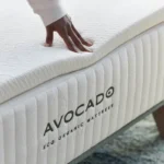 avo eco trundle 00066 2000w f389b35b db76 4df7 a0f1 e9aeffa7af9c 800x.webp