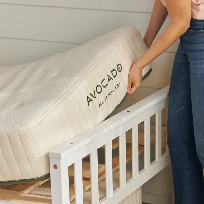 avo eco trundle 0435 2000w 800x.webp