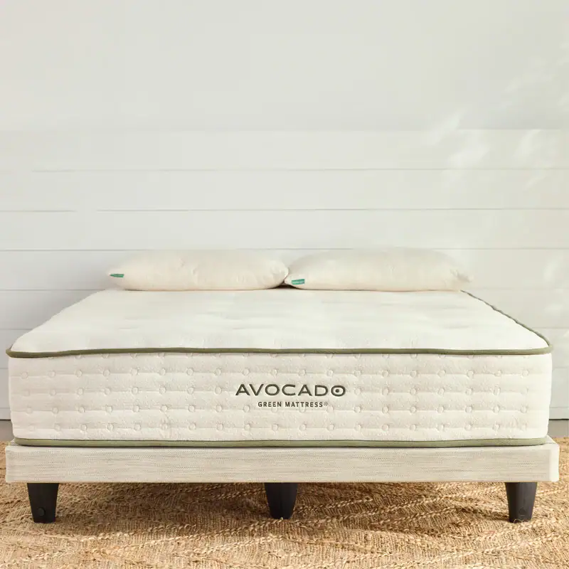 avocadogreenfoundationlowprofile 800x.webp