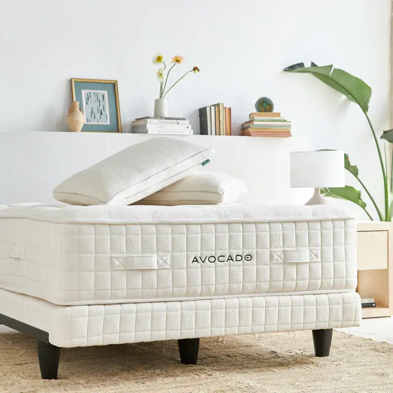avocadoluxuryplushorganicnaturalmattress8 e482fe7f 9eb4 4800 b900 88d7a2f09ef9 800x.webp