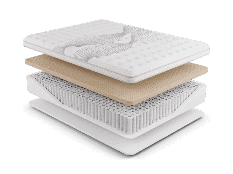 elysian firm nmhelf layer.png