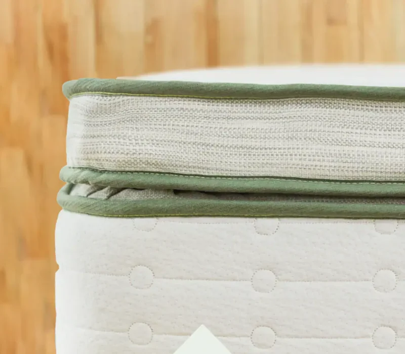 green box top content image plush.webp