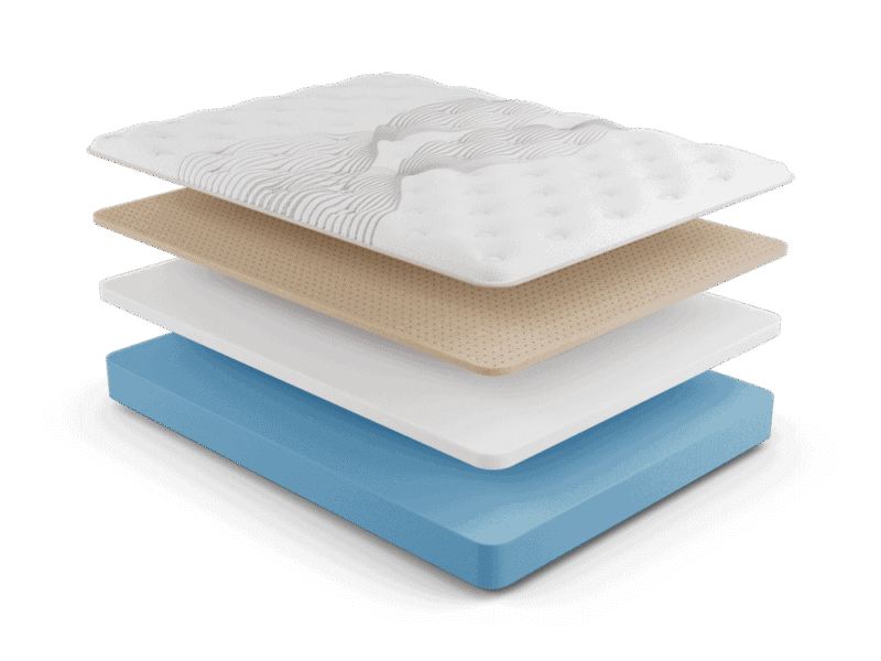 moksha firm nmhmof layer.png