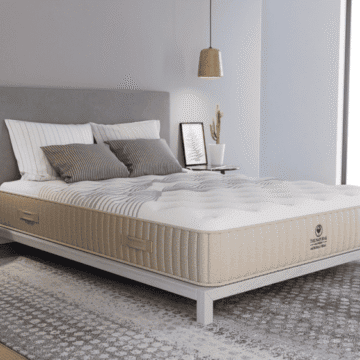 moksha firm nmhmof roomangle.png