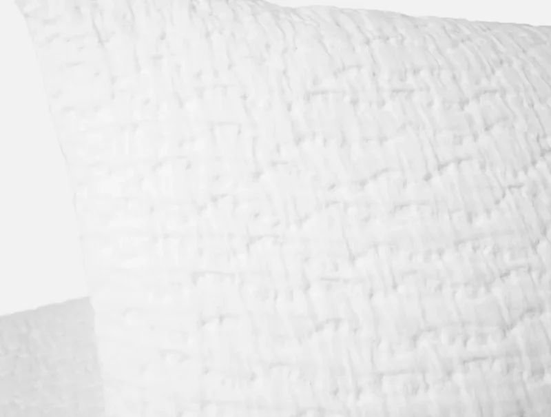 sp25 pescaderomatelasseorganic euro sham alpinewhite 2216 b0f11511 134b 45a2 82c5 e6604e1458d4.webp