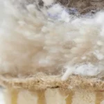 british wool and peruvian alpaca.webp