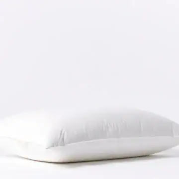 down pillow a fall21 0742 b0427b28 cf6e 4412 9259 bae78b55ee74.webp