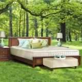 eos trilux lifestyle square.jpg
