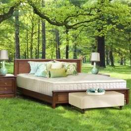 eos trilux lifestyle square.jpg