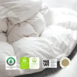 istock 1511985561b sq logos 1000x1000.webp