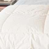 np bedding6913z2b 1000x1000.jpg