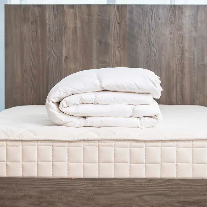 np bedding8681 1000x1000.webp