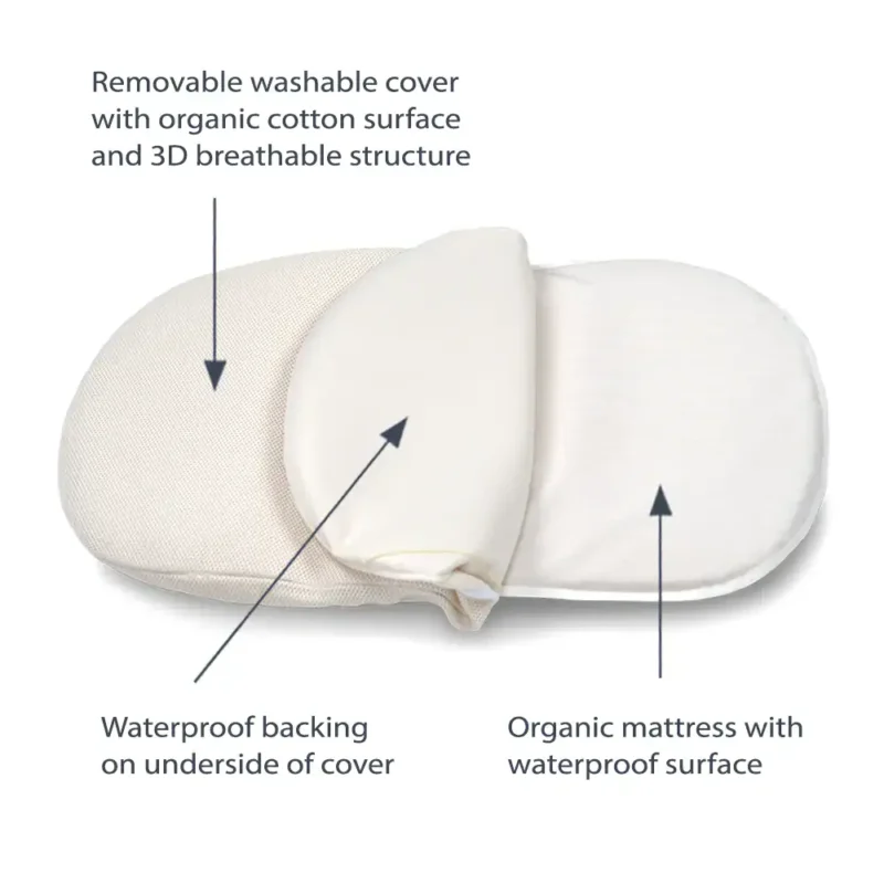 np newproducts bassinet wb06c diagram.webp