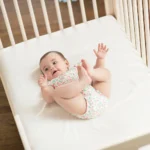 np website images baby sc501 sc50w 4.webp