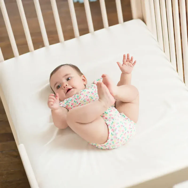 np website images baby sc501 sc50w 4.webp