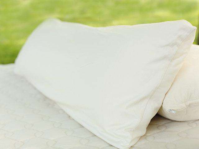 organic body pillow1 760x480.jpg