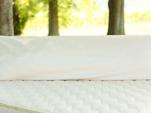 organic body pillow2 760x480.jpg