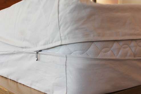 savvyrest organic mattress encasement 1.jpg