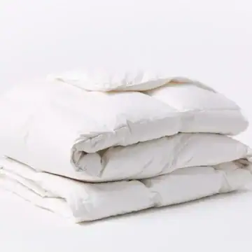 threeseasonduvetinsert.webp
