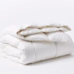 winterweight duvetinsert a fall21 0703 3 b9c5f7e9 f3a8 4c42 ae5f 0fff21fae604.webp